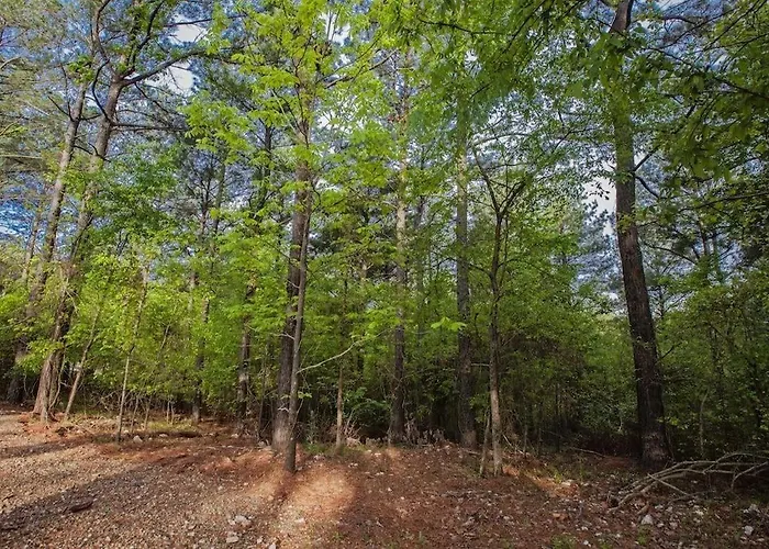 Pet Friendly hotel: Stone Mountain Lodge 5000Sqft 6 Bed Game Room Pool Table Hot Tub